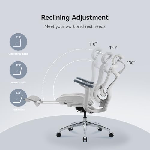 Image of SIHOO Doro C300 Ergonomic Office Chair with Footrest, Ultra Soft 3D Armrests, Dynamic Lumbar Support for Home Office Chair, Adjustable Backrest Desk Chair, Swivel Big and Tall Computer Chair (Grey)