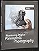 Produktbild Mastering Digital Panoramic Photography