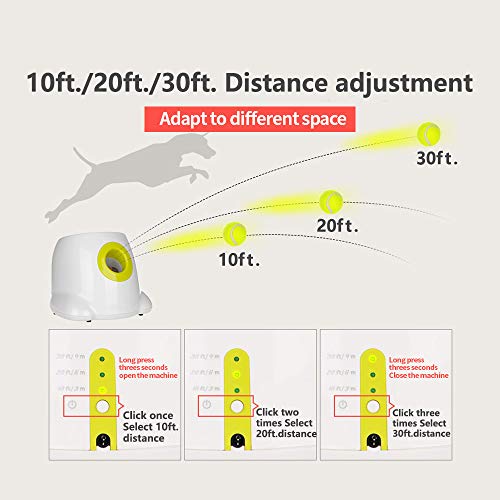 Lanceur de balles automatique petit format machine tennis interactive chien