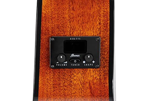 Ibanez Aeg50N 6-String Acoustic-Electric Guitar (Right Hand, Black High Gloss) #TOP6