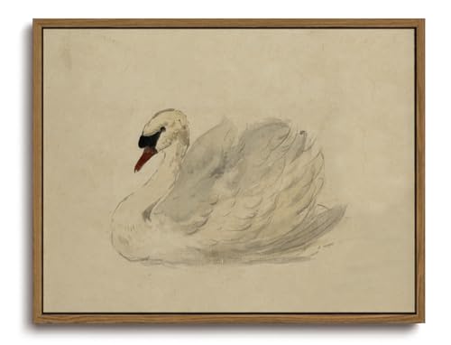 Image of KISSFOX Framed Wall Art Vintage Wall Decor Swan Pictures Retro Animal Canvas Art Rustic Aesthetic Paintings Farmhouse Artwork For Bedroom Living Room Kitchen