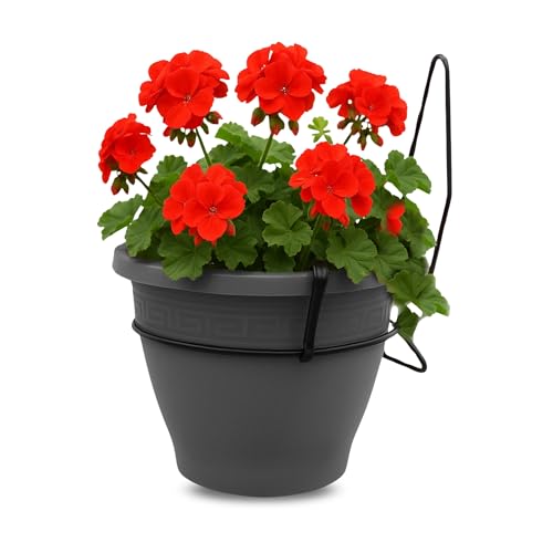 Macetero con Soporte de Pared, Maceta Redonda plástico, Tiesto Colgar Flores, Fabricado en Polipropileno, Recipiente Pared para Flores, 20 cm diámetro x 15 cm Base x 21.5 cm Alto, Antracita