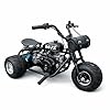 208cc Gas Mini Off-Road Trike Motorcycle w/CVT, 31MPH Drift Trike Bike, Rear Hydraulic Disc Brake, High-Carbon Steel Frame, Stabilizer Wheels, Muffler, Private Property Only