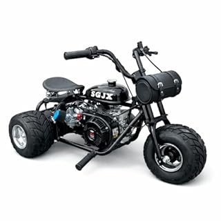 208cc Gas Mini Off-Road Trike Motorcycle w/CVT, 31MPH Drift Trike Bike, Rear Hydraulic Disc Brake, High-Carbon Steel Frame, Stabilizer Wheels, Muffler, Private Property Only