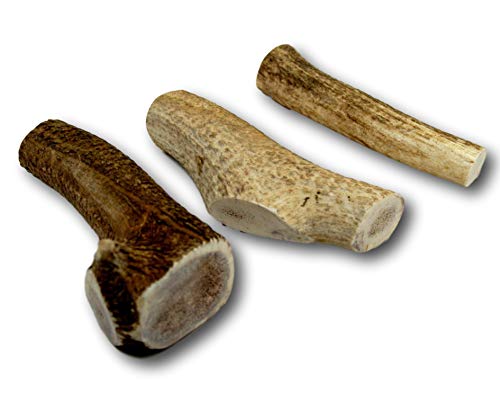 Colágeno, Imagen adicional