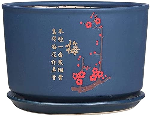 Pot de fleurs d'intérieur avec plateau et suspension extérieure pour bonsaï