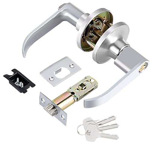 Door Handle Lock with Keys Door Lock for Interior with Adjustable Latch Stainless Steel Privacy Locks for Bedroom Bathroom Kitchen Office (Silver)