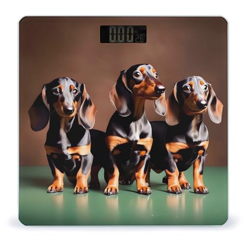 Báscula digital de baño Dachshund Weiner dog vidrio templado miniatura 1