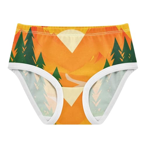 Girls Underwear Toddler 2t Cotton Panties for Girl Fancy Kids Briefs Undies Sunrise Orange Mountains