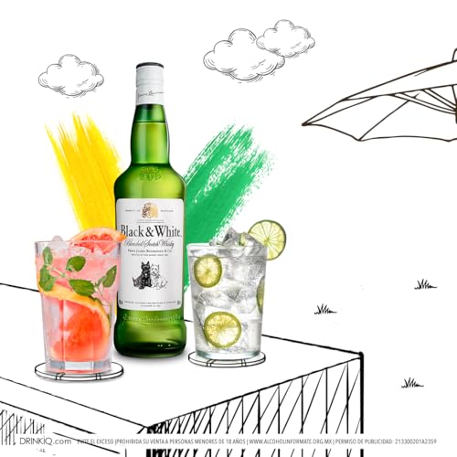 Black & White Whisky (1 x 1 l)