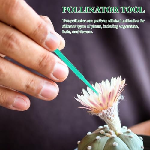 Herramienta manual para polinización INOOMP 100 piezas miniatura 5