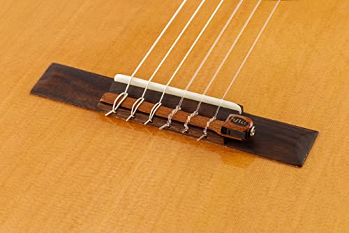 Kremona NG-1 Tête de lecture piézo passive pour guitare de concert & D’Addario Corde Guitare Classique | Cordes Pro-Arte… - Les Beatles, Paul McCartney, John Lennon, RIngo Starr, George Harrison Kremona NG-1 Tête de lecture piézo passive pour guitare de concert & D'Addario Corde Guitare Classique | Cordes Pro-Arte… – Image 4