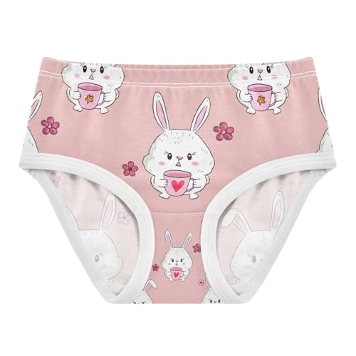 Cute Bunnies Easter Toddler Girls's Underwear 2T 202c1275