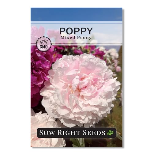Sow Right Seeds - Mixed Peony Poppy Seeds for Planting