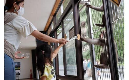 波勝崎モンキーベイ ペア入場券 動物園