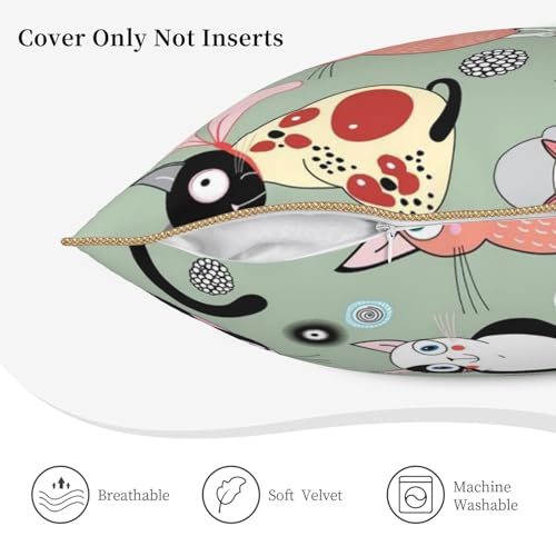 Housse de coussin chat velours lavable pour protéger et décorer