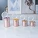 Creative Home Set of 4 Pieces Stainless Steel Kitchen Storage Jar Container Canister with Clear Airtight Lid and Locking Clamp for Food, Cookie, Flour, Sugar, Tea, Coffee Storage, Rose Gold
