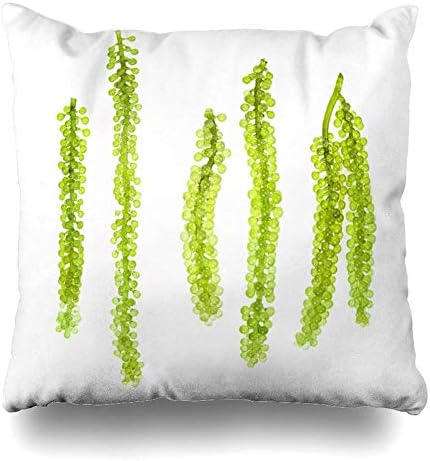 SPXUBZ Sea Grapes Green Caviar Seaweed on White Backgroun Cotton Throw Pillow Cover Home Decor Nice Gift Indoor Pillowcase Standar Size (Two Sides)