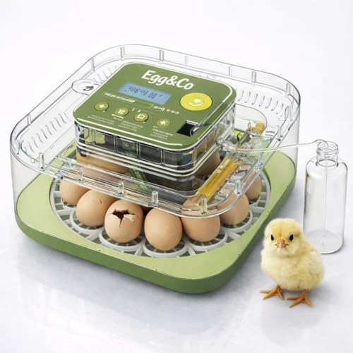 Egg&Co Start 12 - Couveuse Automatique 12 Œufs de Poule 36 de Caille/Oiseau. Incubateur avec Contrôle d'Humidité ultra précis, Retournement Automatique, flacon et Mire-Œuf. Idéal Débutant ou Confirmé.