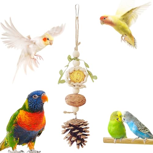 Image of 5 PCS Natural Bird Chewing Toys & Perches for Small Lovebirds, Budgies, Cockatiels - Wooden, Rattan, Vine, Beige