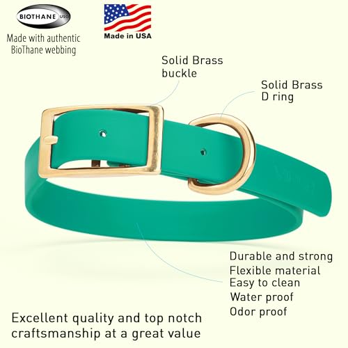 Image of Viper Biothane Heavy Duty Waterproof Dog Collar Strong Coated Nylon Webbing w /Solid Brass Hardware Odor-Proof Easy to Clean High Performance Fits Small Medium or Large Dogs, Teal