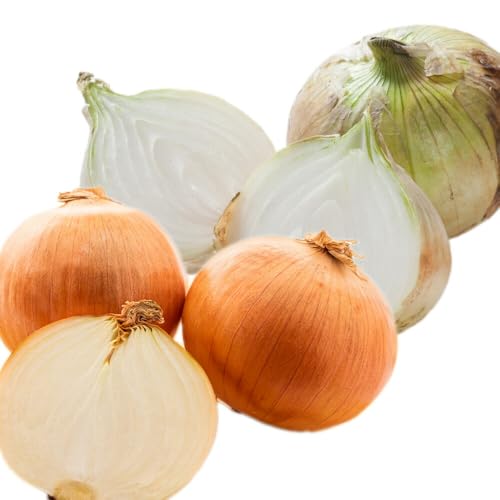 しお風新たまねぎ 2kg[2026年5月中旬-5月末頃出荷]