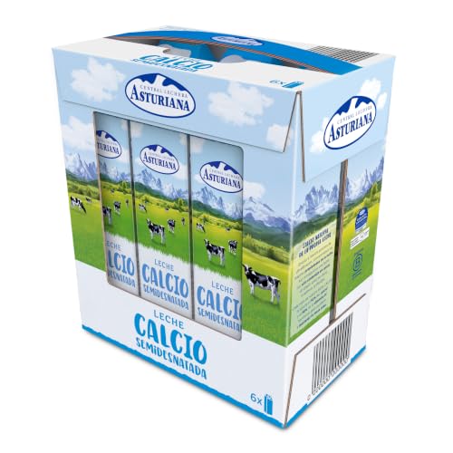 Central Lechera Asturiana Leche Calcio Semidesnatada UHT en Brik de 1 L