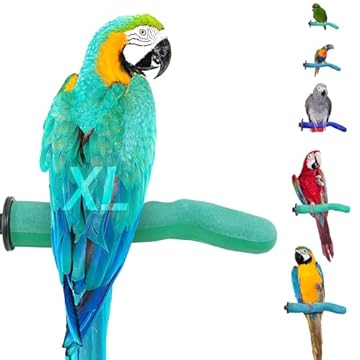 non toxic bird perches for safety