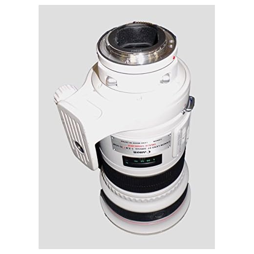 Canon EF 300mm f/2.8L Telephoto Lens