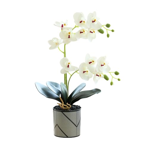 Genérico Orquídea Artificial Morada de Dos Puntas de 12 pétalos Flor Decorativa Phalaenopsis Blanca Orquídea Artificial Naranja Realista en Maceta Mariposa Blanca de Imitación (Blanco)
