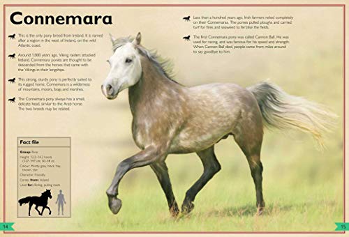 The Magnificent Book Of Horses #TOP4