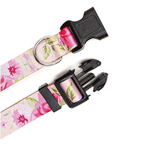 Mihqy Dog Collar and Lead Set including Bohemia Floral Tribal Geometric Patterns - Image 3