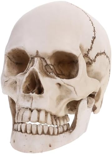 Modèle De Crâne Humain En Résine Tête De Mort Réaliste Figurine De Crâne Avec Motif Fleur Artistique Crâne De Decoration Avec Yeux Brillants Ornement Accessoire D'halloween Gothique Bar Maison Hantée
