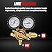 Siasky Nitrogen Regulator with 1/4-Inch Male Flare Outlet, 0-800 PSI Delivery Pressure, 78.7