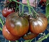 Nos complace ofrecerle las respuestas del producto. Después de la compra del producto fÃ1ï 4r consultas.