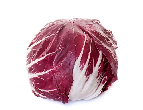 Sachet de graines de Chicorée sauvage Rouge de Vérone - Sachet de 3 grammes - Graines de style