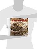 Zoom IMG-1 rattlesnakes