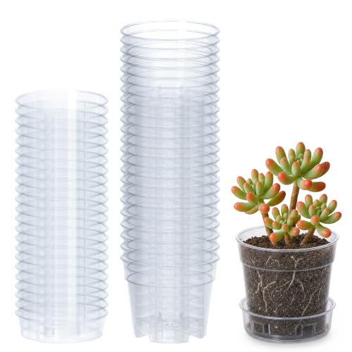 3 Inch Clear Plastic Plant Pot with Drainage Holes, Interlocking & Detachable Tray - Deep Saucer - Durable BPA-Free Plastic, Transparent Design, Raised Base for Airflow, Set of 24, 92-X-C-1