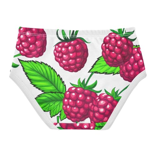 Red Raspberries Green Leaves Girls Underwear Toddler 2t Cotton Girl Panties Cute Fun Print Briefs Kids Undies2