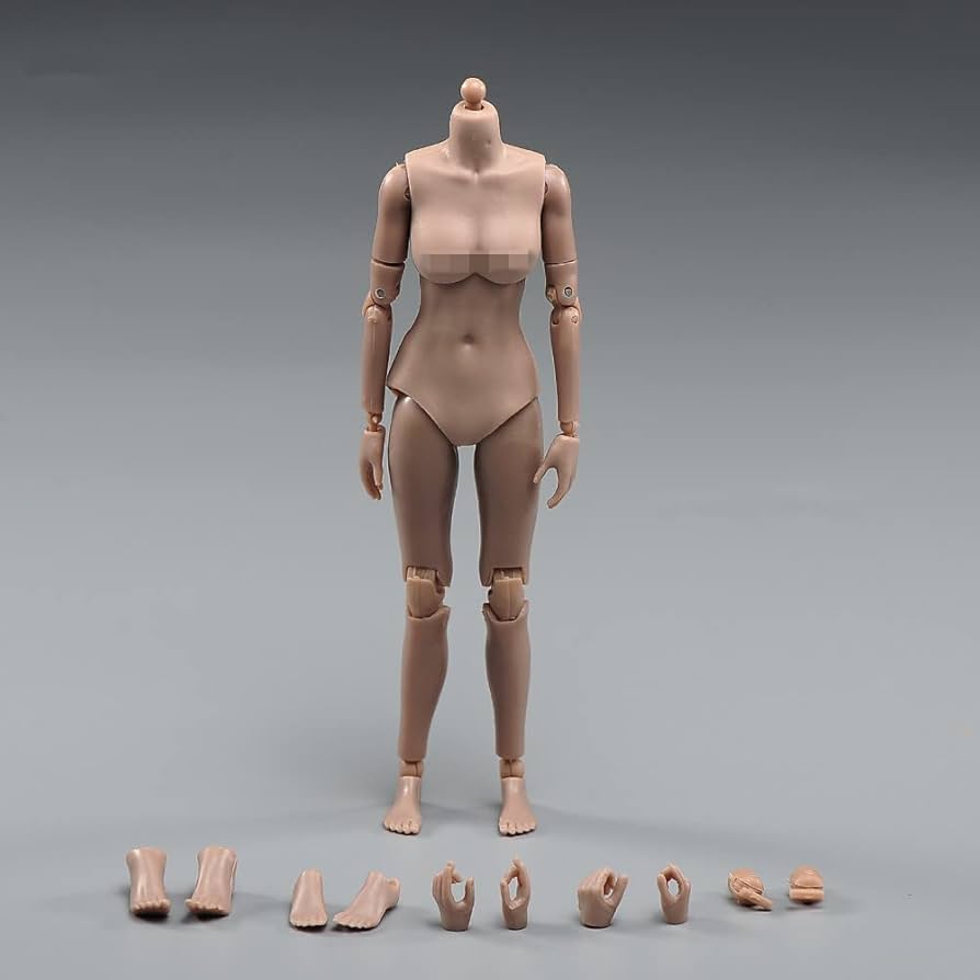 SUPER FLEXIBLE FIGURE 【SKIN TONE:Suntan】 Amazon.com: 1/12 Scale Female Figure Body,6inch Female Joint