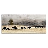 'Grazing Bison Foggy Countryside'| Canvas Art
