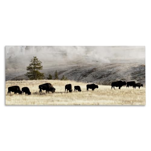 Stupell Industries 'Grazing Bison Foggy Countryside'| Canvas Art