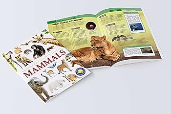 Paperback Animals: Mammals (Knowledge Encyclopedia for Children) Book