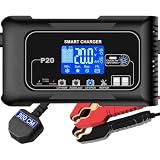 HTRC 12V/24V 20A Carica Batteria Intelligente – per LiFePO4 e Piombo Acido