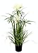 Produktbild Flair Flower Papyrusgras im Topf, Papyrus Busch, Kunst, Zimmerpflanzen, Ufer, Feder, Seidenblumen, Dekogras, Gras, Kunstgras, künstliche Pflanzen, Solitärgras, Ziergras, Dekopflanze, Weiß, 77x25x25 cm