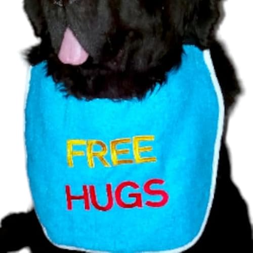 Dog slobber bib - 2 coloured 'FREE HUGS' - personalize your own | custom bespoke made | dog bandana & scarf | unique professional hand made - Waterproof backing material - high quality towel