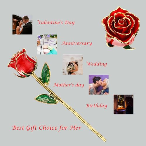 Image of Valentines Day Gift Rose, Gold Dipped Real Rose is Attractive Luster and Natural Shape, Best Gifts for Anniversary Wedding Valentines Day (Red Original Rose with Stand)