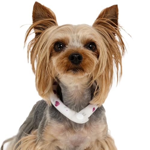 �y�b�g�p���_�C�X �� �� �N�[�������O 28�� � �s���N �R�r