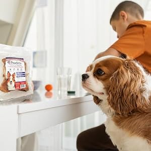 Premium Natural Whole Pig Ears Easily Digestible Non Rawhide Dog Chews Long Lasting Treats, Snacks for Dogs (Pack of 25) Premium Natural Whole Pig Ears Easily Digestible Non Rawhide Dog Chews Long Lasting Treats, Snacks for Dogs (Pack of 25)
