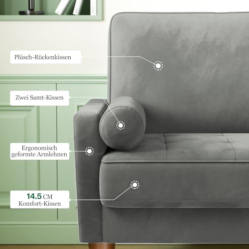 Meskanu Couch 2 Sitzer, 121 cm Samt Kleines Sofa mit 2 Wurfkissen, Modern Mini Sofa, Getuftetes Kleine Couch für Wohnzimmer/Schlafzimmer/Büro/Wohnung, Grau